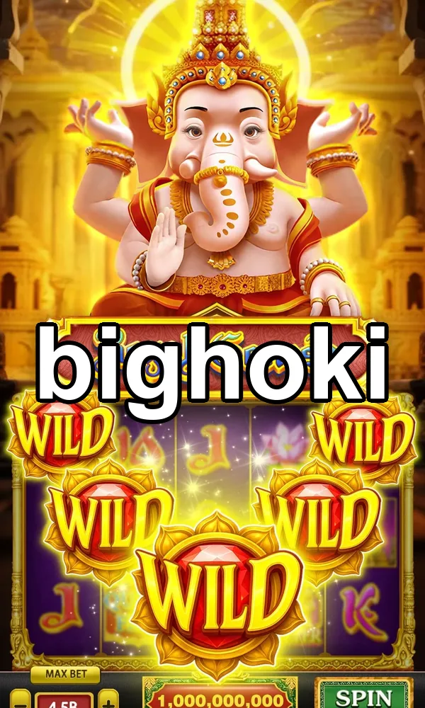 bighoki APK