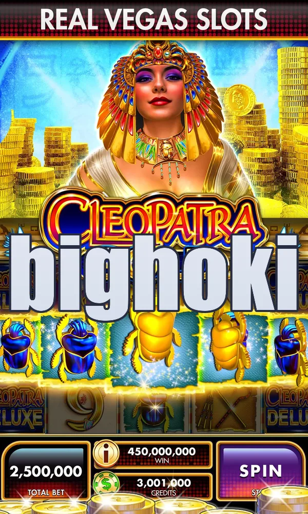 bighoki Akses
